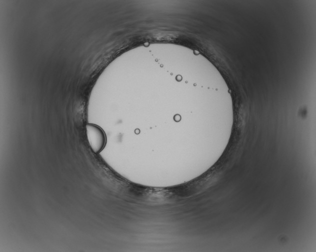 X0000116580321200912312020