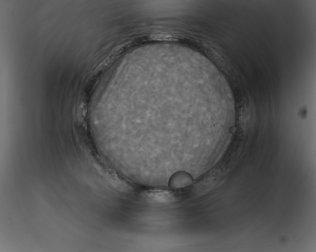 X0000116580322200912312020