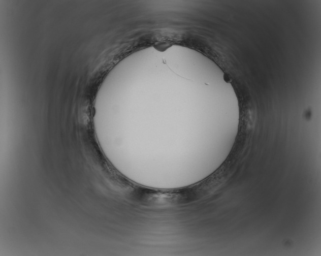 X0000116580323200912312020