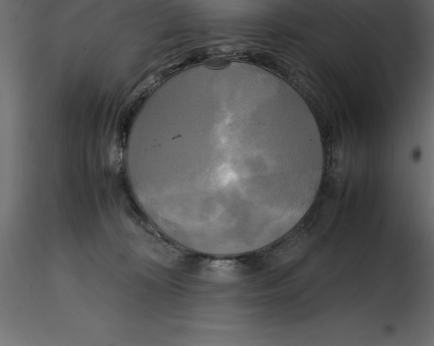 X0000116580324200912312020