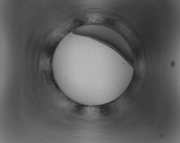 X0000116580327200912312020