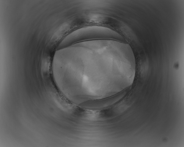 X0000116580328200912312020