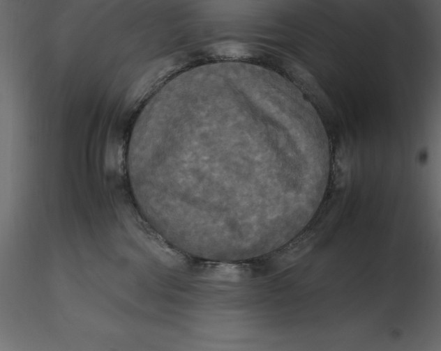 X0000116580330200912312020