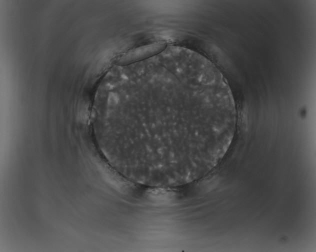 X0000116580331200912312020