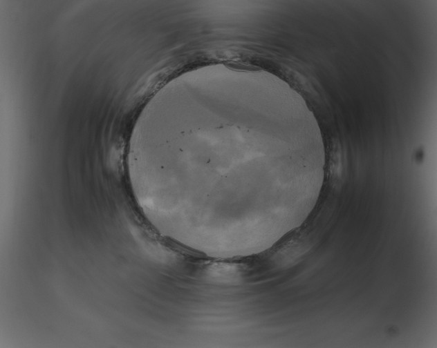 X0000116580332200912312020