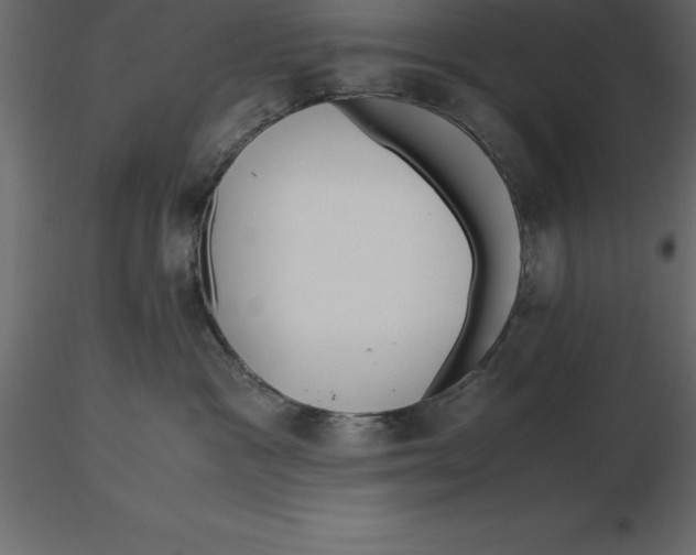 X0000116580333200912312020