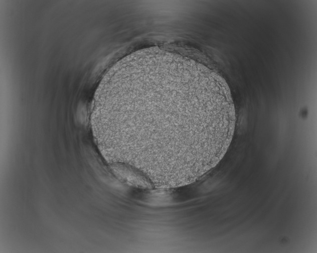 X0000116580335200912312020