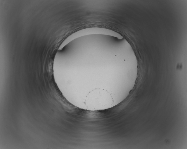 X0000116580336200912312020