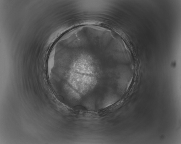 X0000116580337200912312019