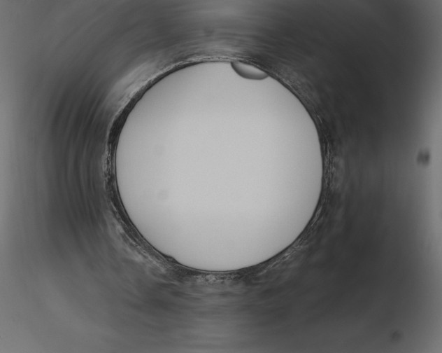 X0000116580338200912312019