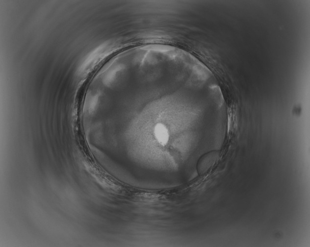 X0000116580339200912312019