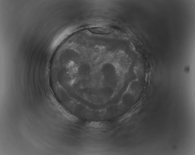 X0000116580341200912312019