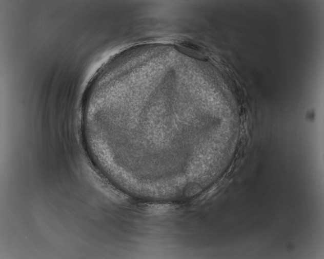 X0000116580342200912312019