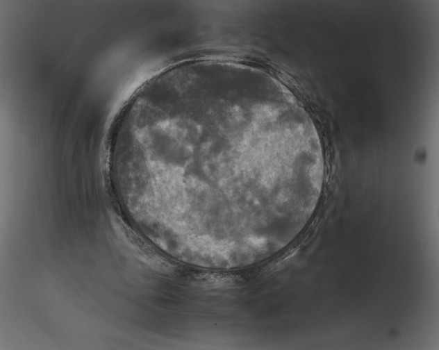 X0000116580343200912312019