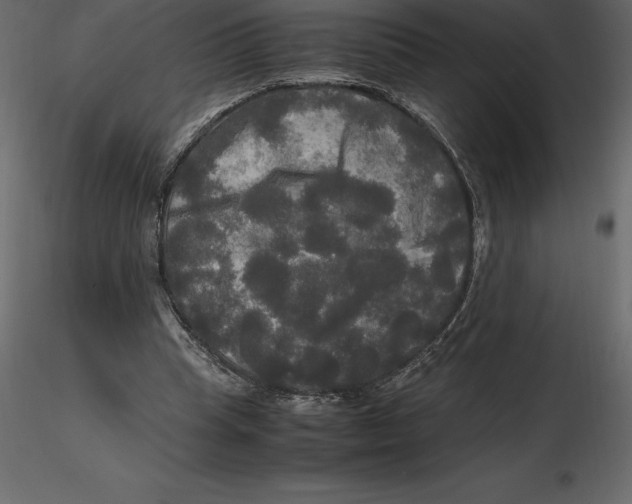 X0000116580345200912312019