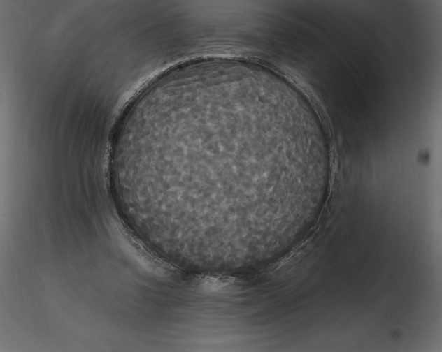 X0000116580346200912312019