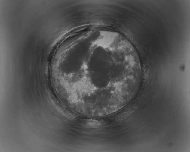 X0000116580347200912312019