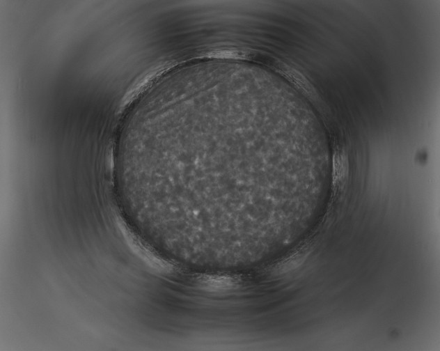 X0000116580349200912312019