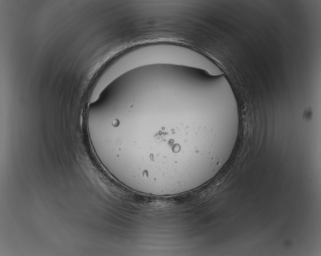 X0000116580350200912312019