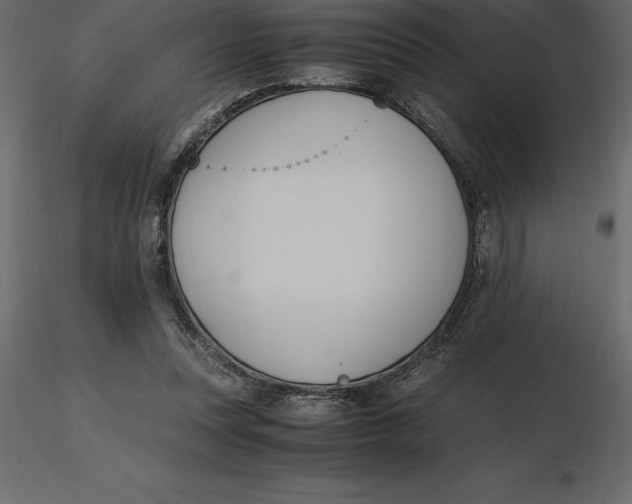 X0000116580351200912312019