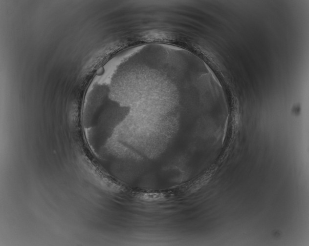 X0000116580353200912312019