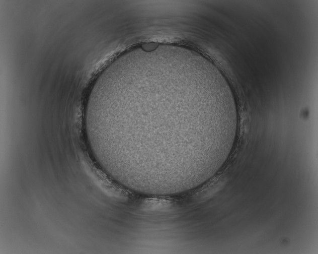 X0000116580354200912312019