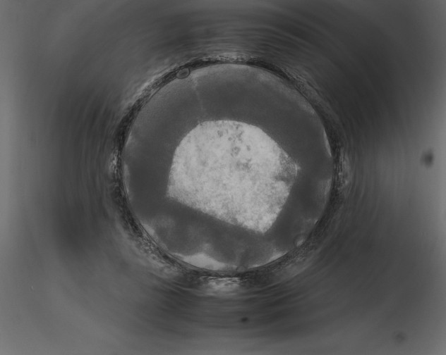 X0000116580355200912312019