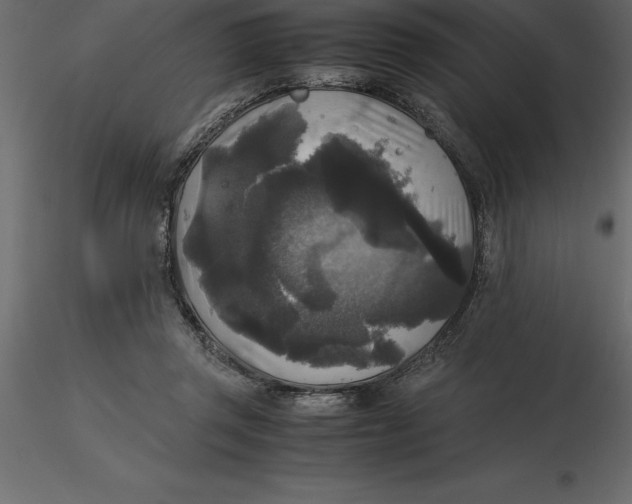 X0000116580357200912312019