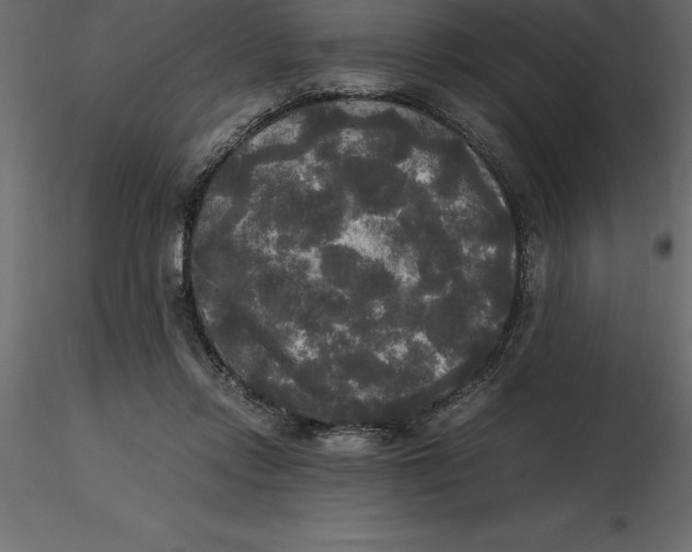 X0000116580358200912312019