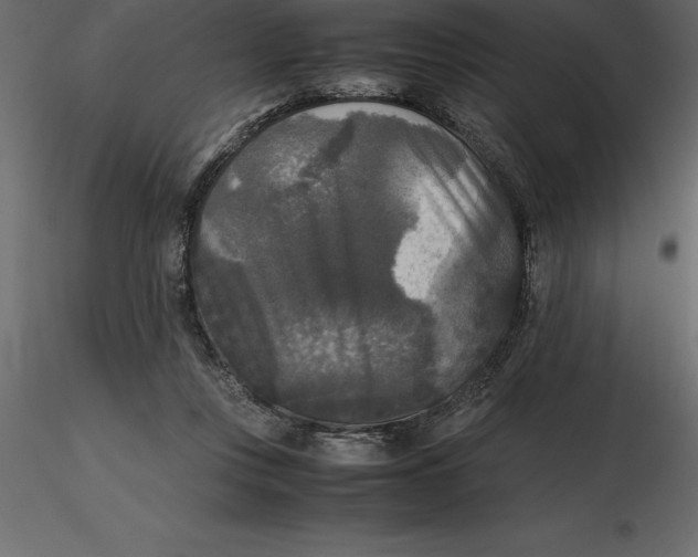 X0000116580359200912312019