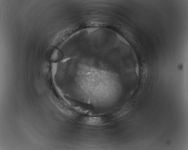 X0000116580361200912312019