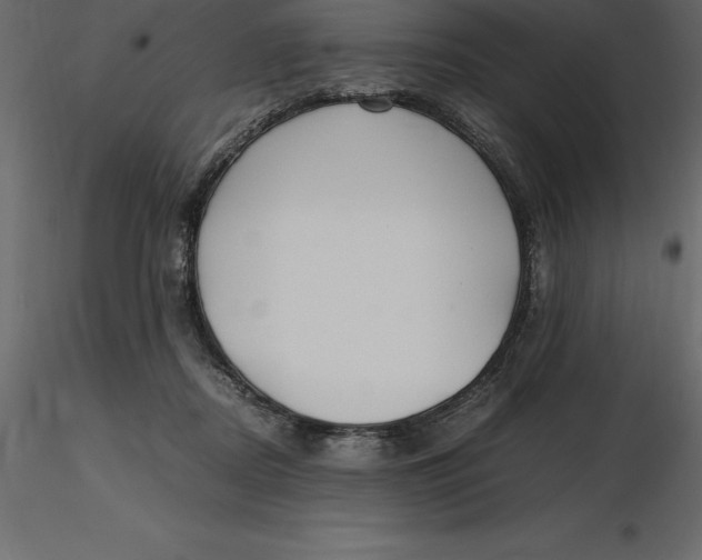 X0000116580362200912312019