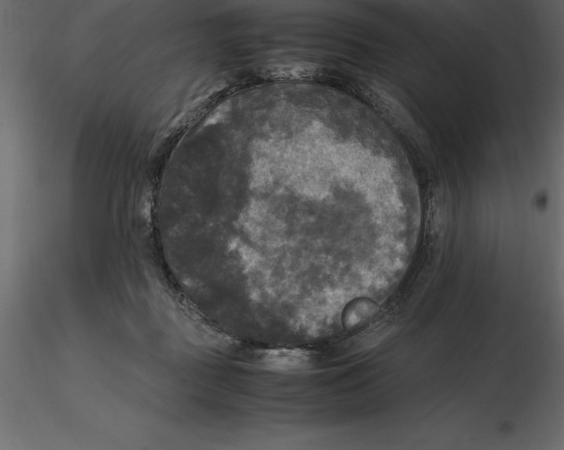 X0000116580363200912312019