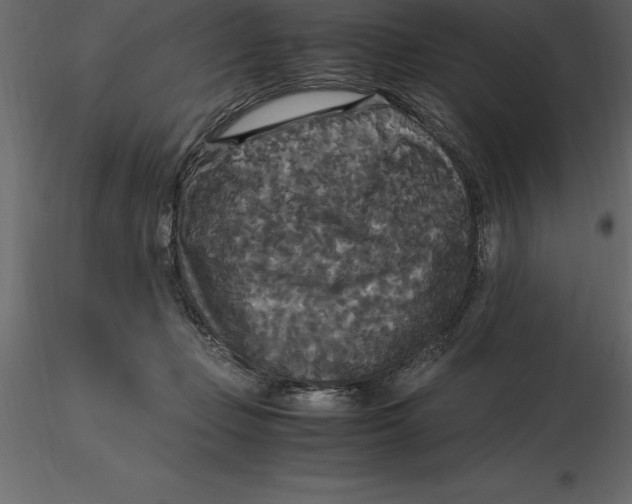 X0000116580365200912312019