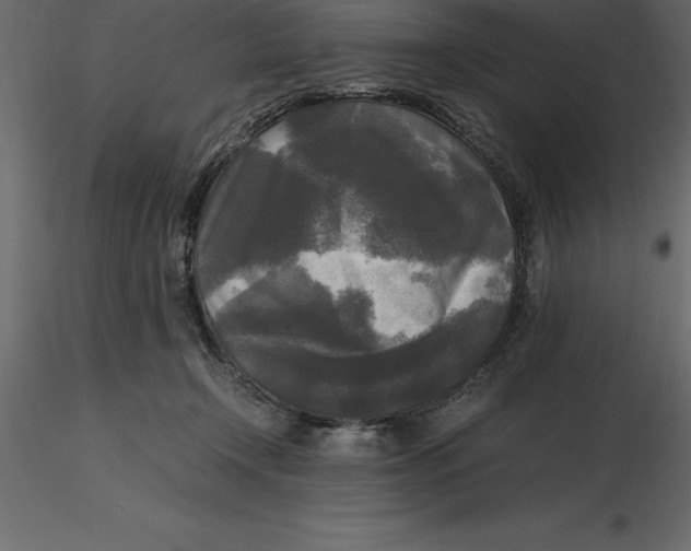 X0000116580366200912312019