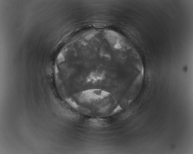 X0000116580367200912312019