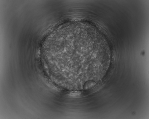 X0000116580369200912312019