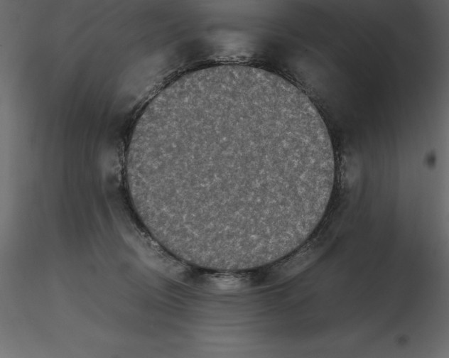 X0000116580370200912312019