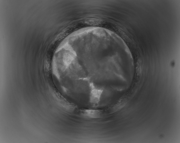 X0000116580371200912312019