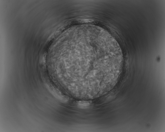 X0000116580373200912312019