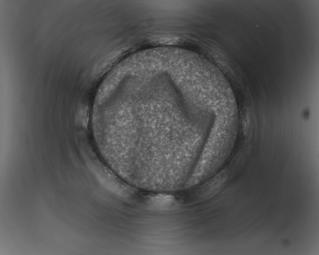 X0000116580374200912312019