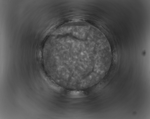 X0000116580375200912312019