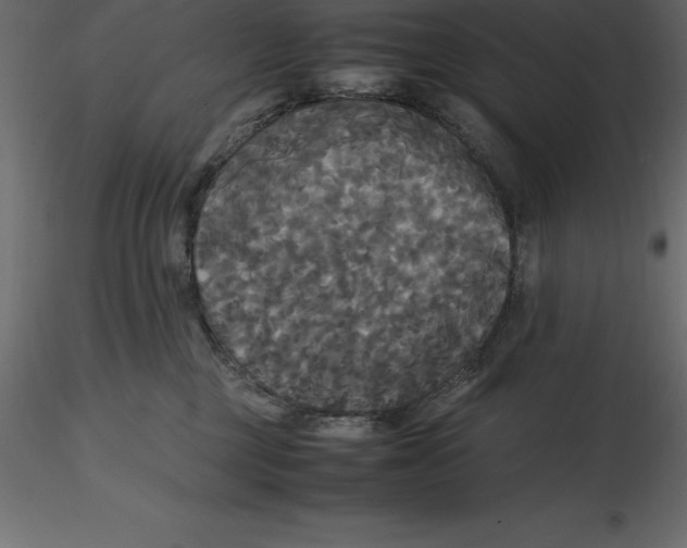 X0000116580377200912312020