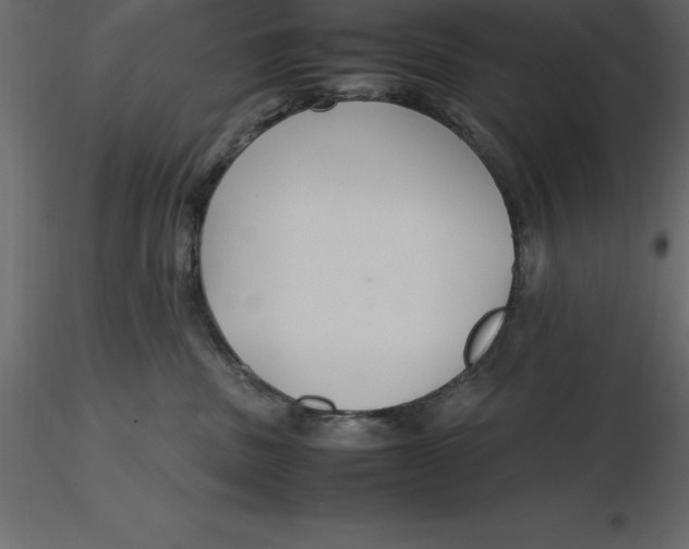 X0000116580379200912312020