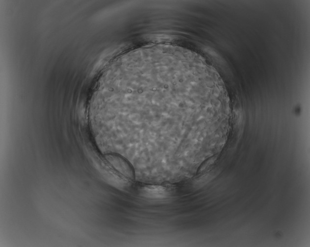 X0000116580381200912312020