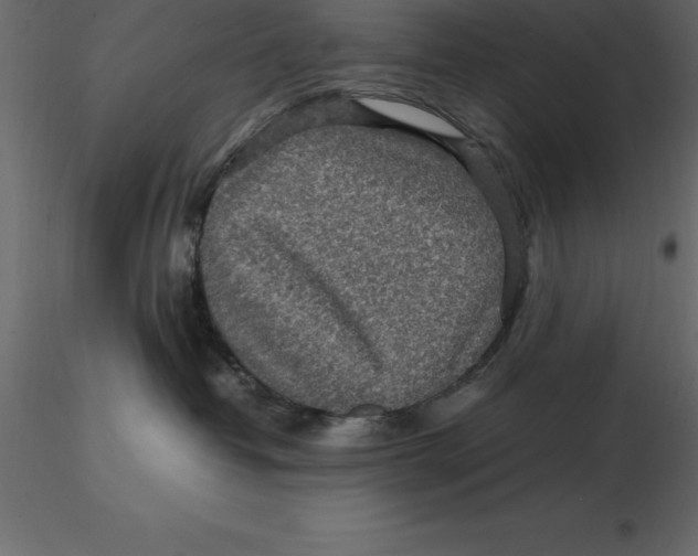 X0000116580382200912312020