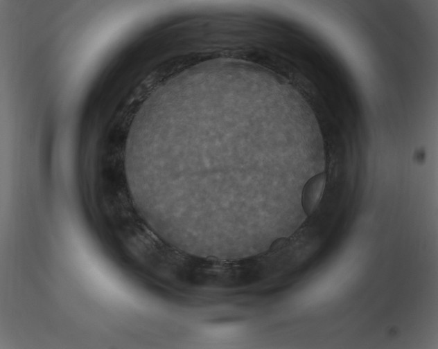 X0000116580383200912312020