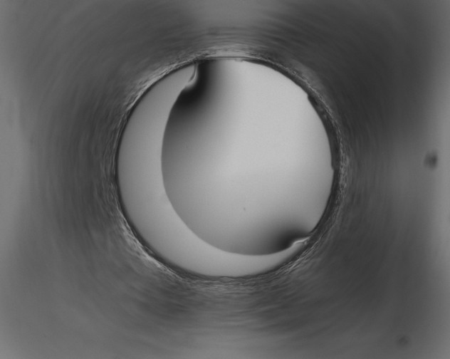 X0000116580385200912312019