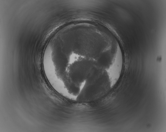 X0000116580386200912312019