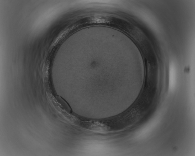 X0000116580387200912312019